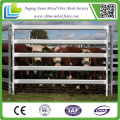 China Suplier Australian Standard 2.1mx1.8m Cattle Panel for Hot Sale